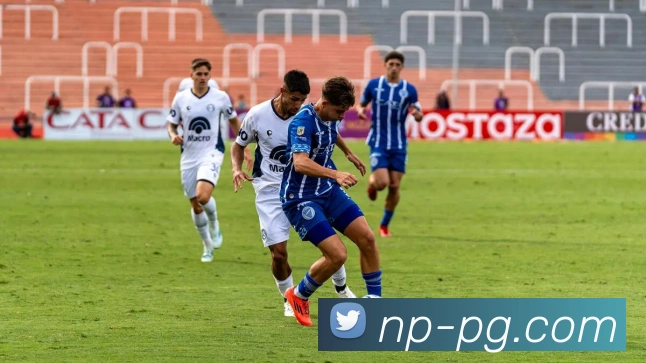 pg电子平台生态图